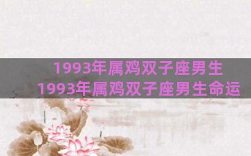 1993年属鸡双子座男生 1993年属鸡双子座男生命运 1993年属鸡双子座男生 1993年属鸡双子座男生命运
